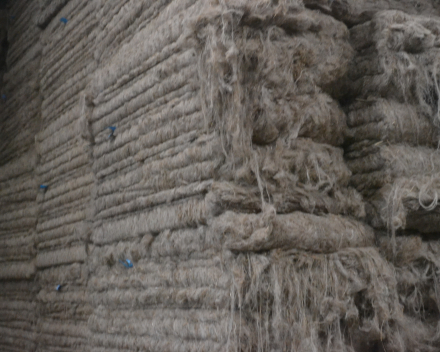 Flax-processing