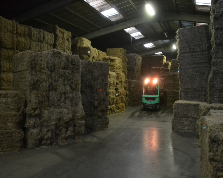 Flax-processing