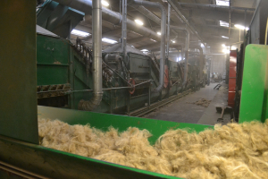 Flax-processing